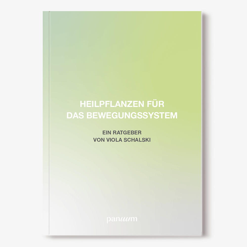 PDF Heilpflanzen Bewegungssystem Bild