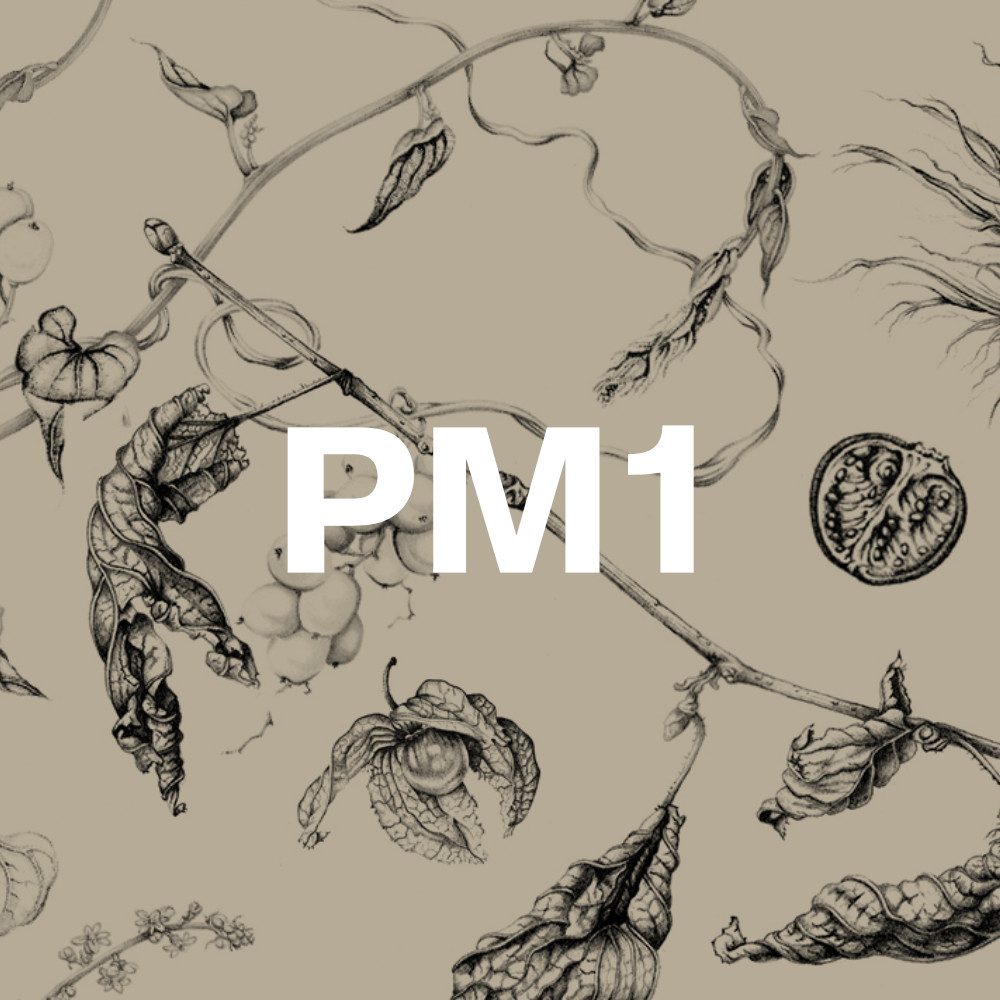 PM1 – Abo PM1 - Abo