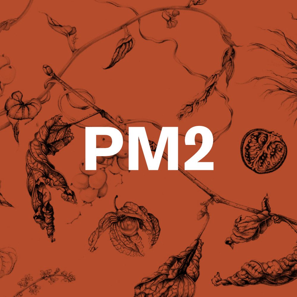 PM2 – Abo PM2 - Abo