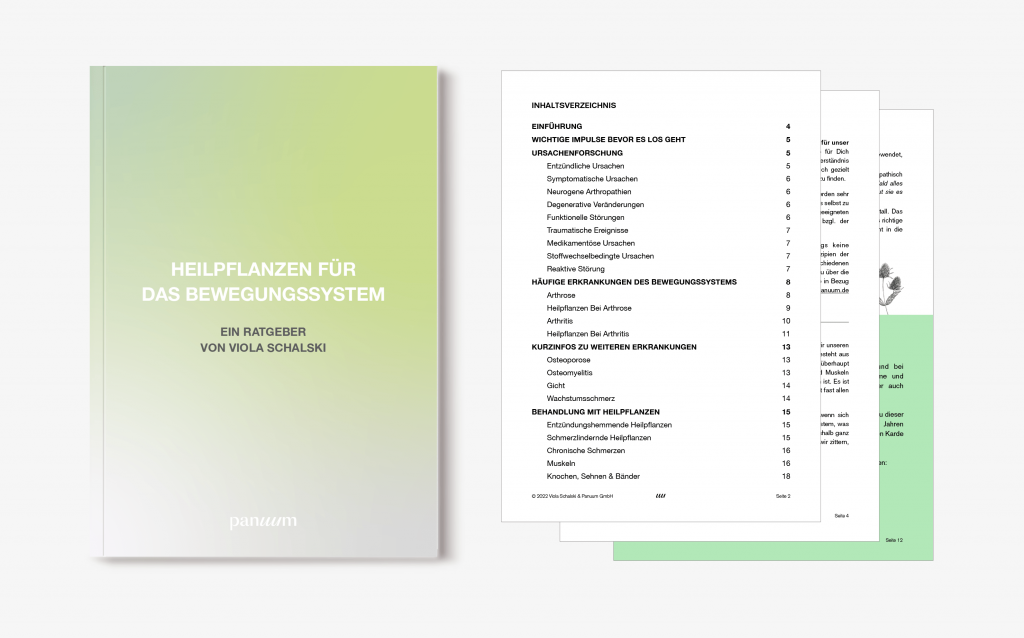 PDF_Bewegungssystem_Mockup